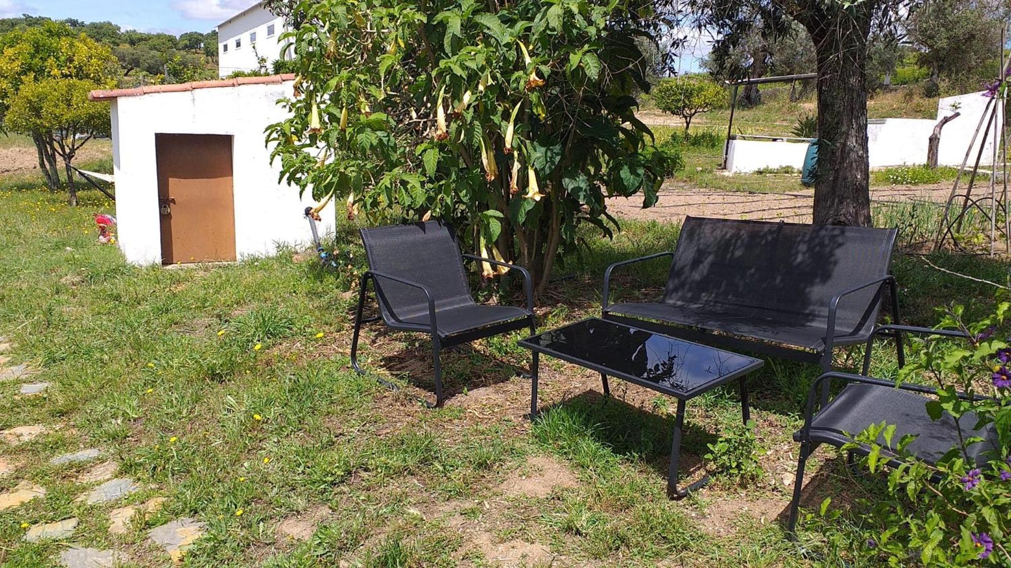 Apartment Encantada *