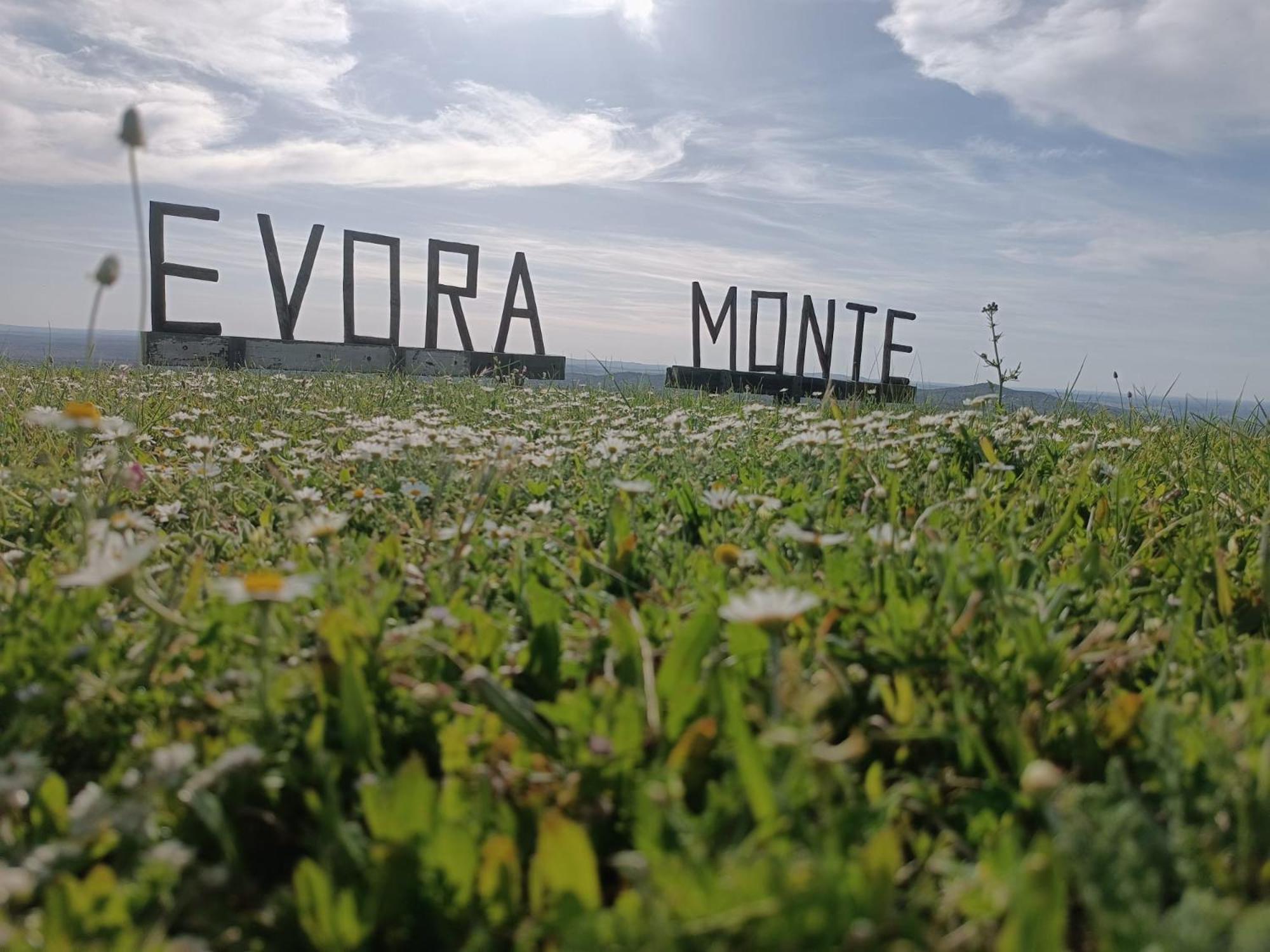 Encantada Apartment Evora Monte